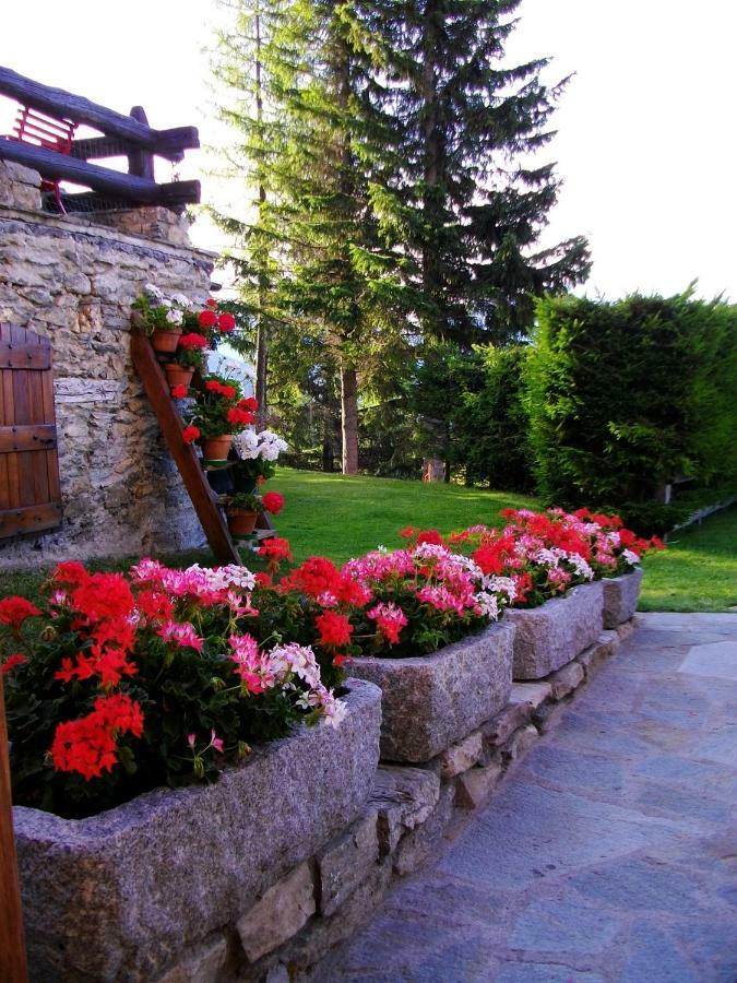 Le Petit Chateau De Vetan Cir 0023 سانت بييرّي المظهر الخارجي الصورة